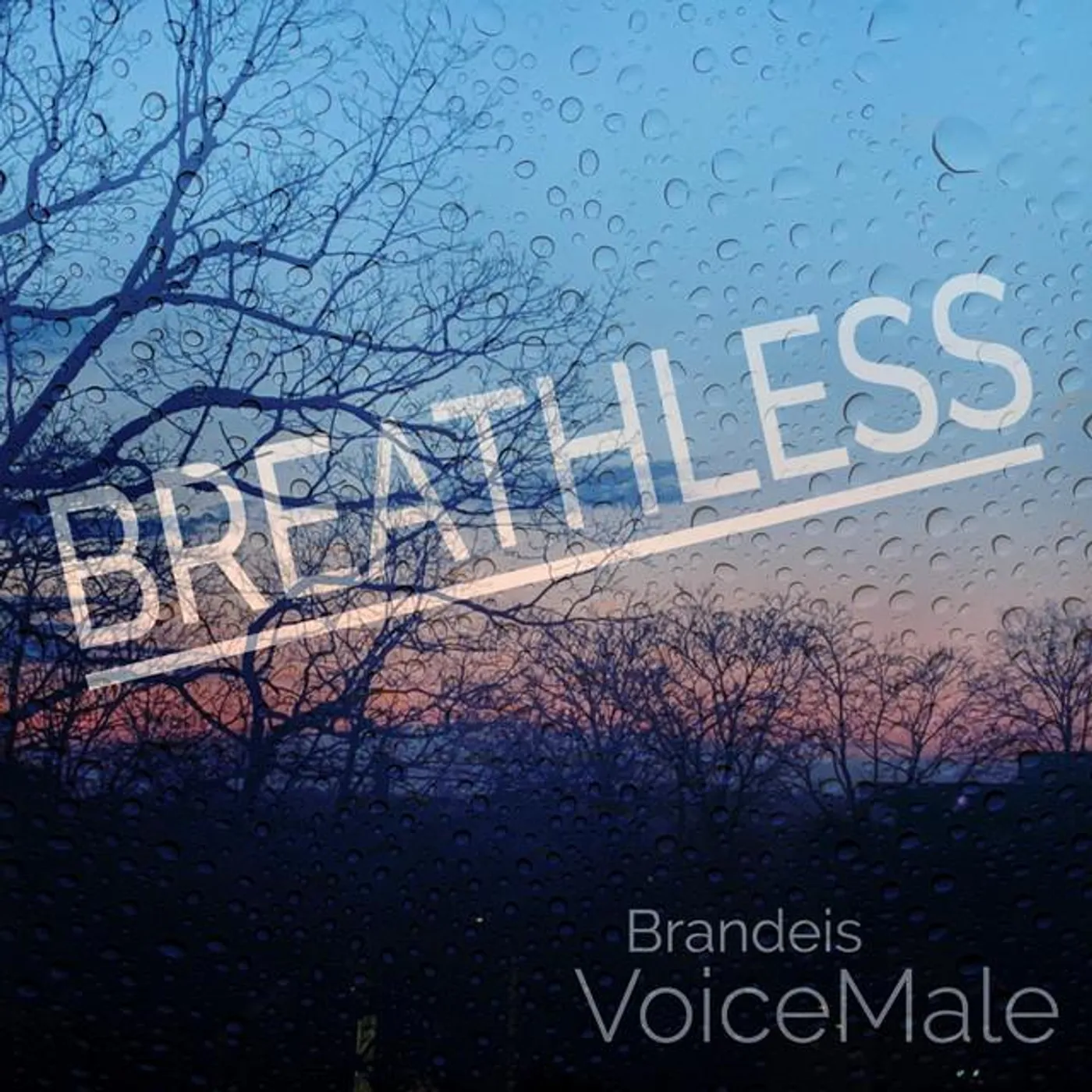 Brandeis VoiceMale