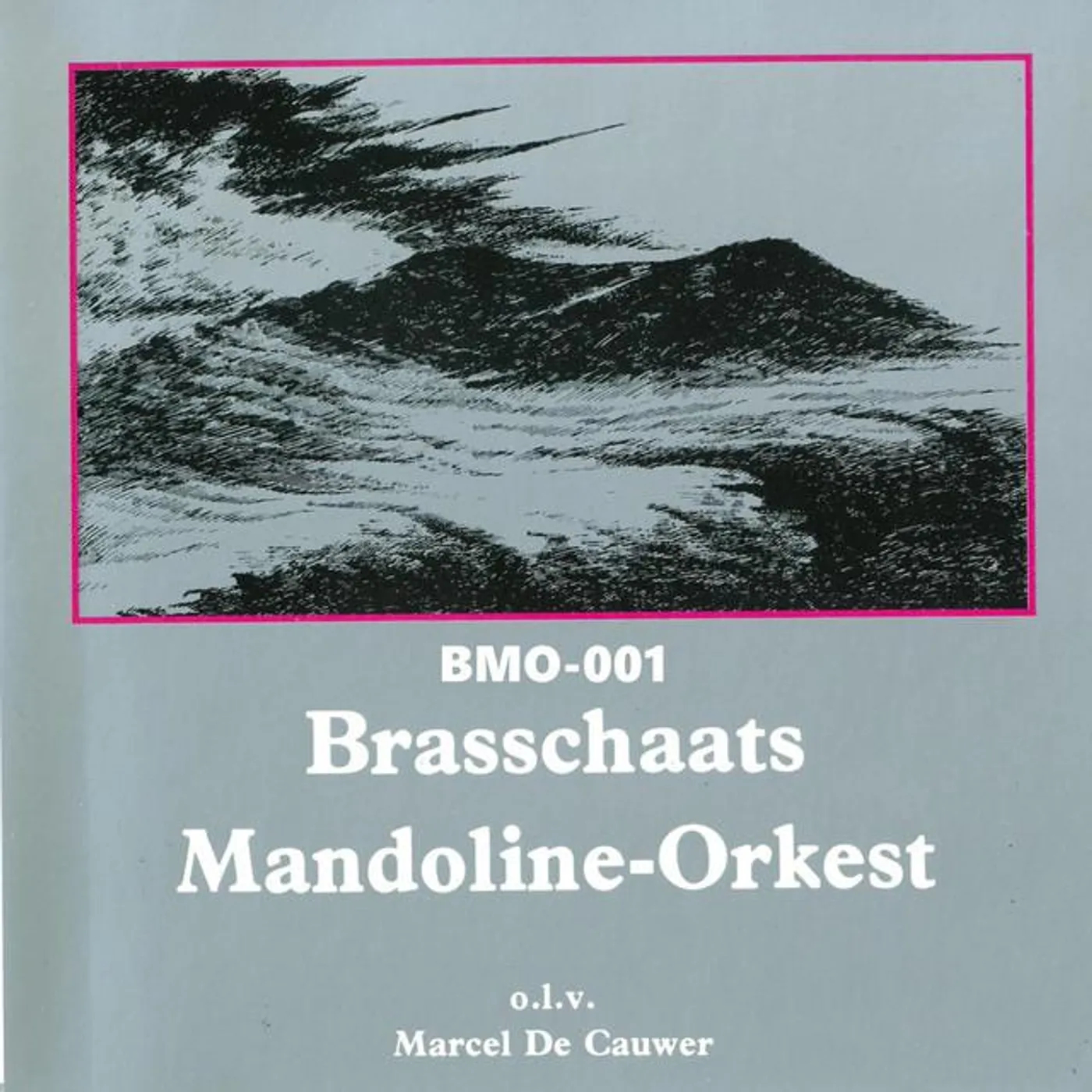 Brasschaats Mandoline Orkest