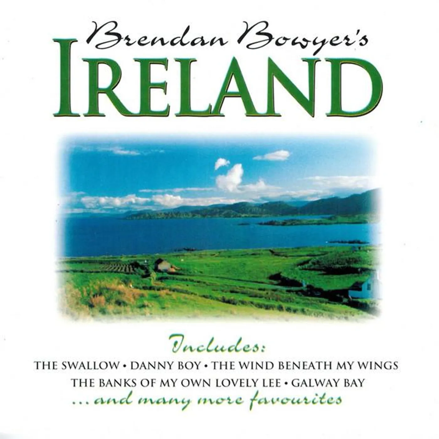 Brendan Bowyer Brand Page