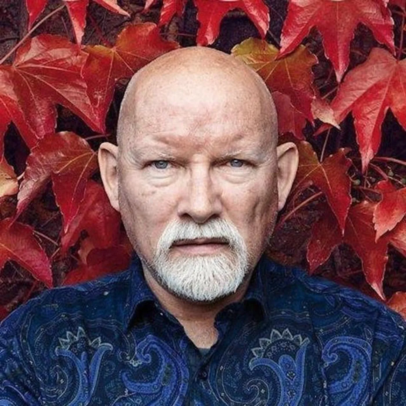 Brendan Perry Brand Page