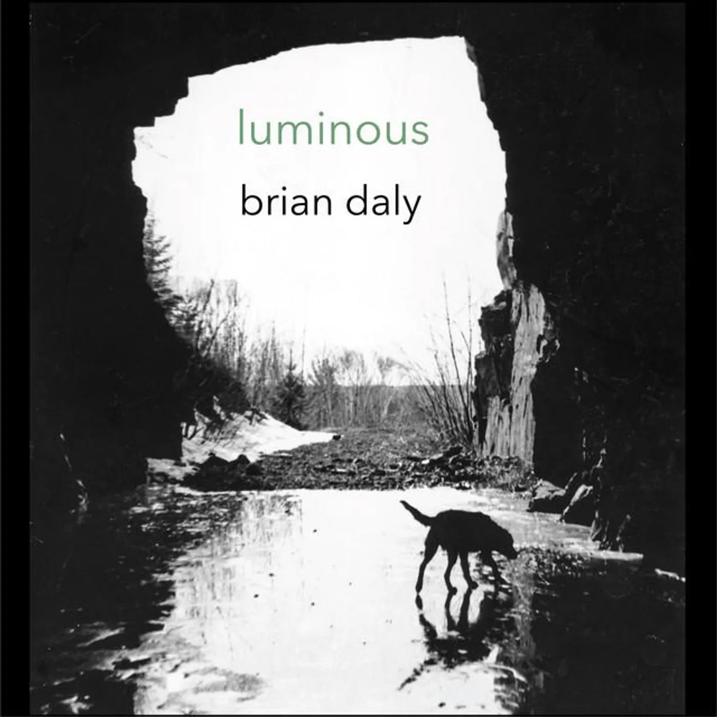 Brian Daly Brand Page