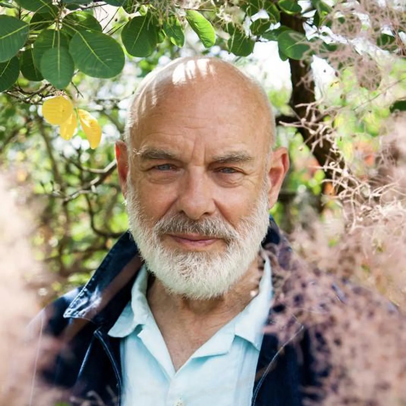 Brian Eno Brand Page