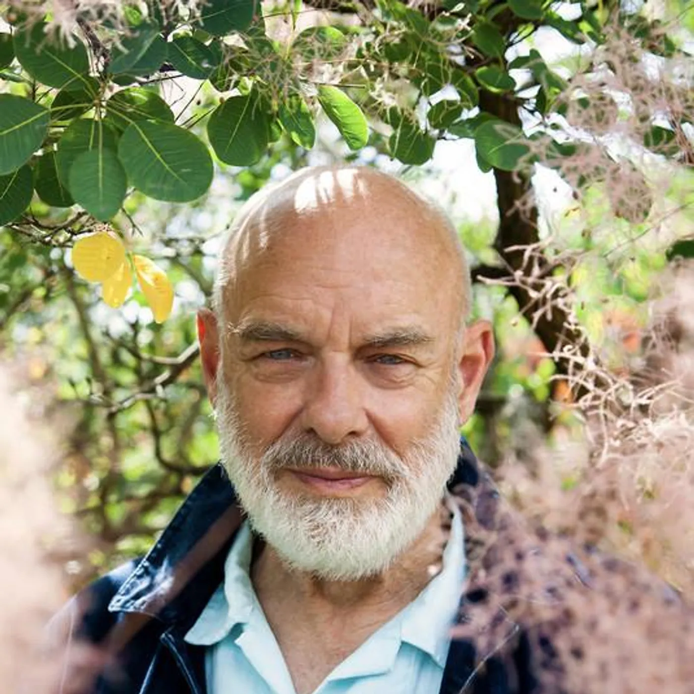 Brian Eno Brand Page