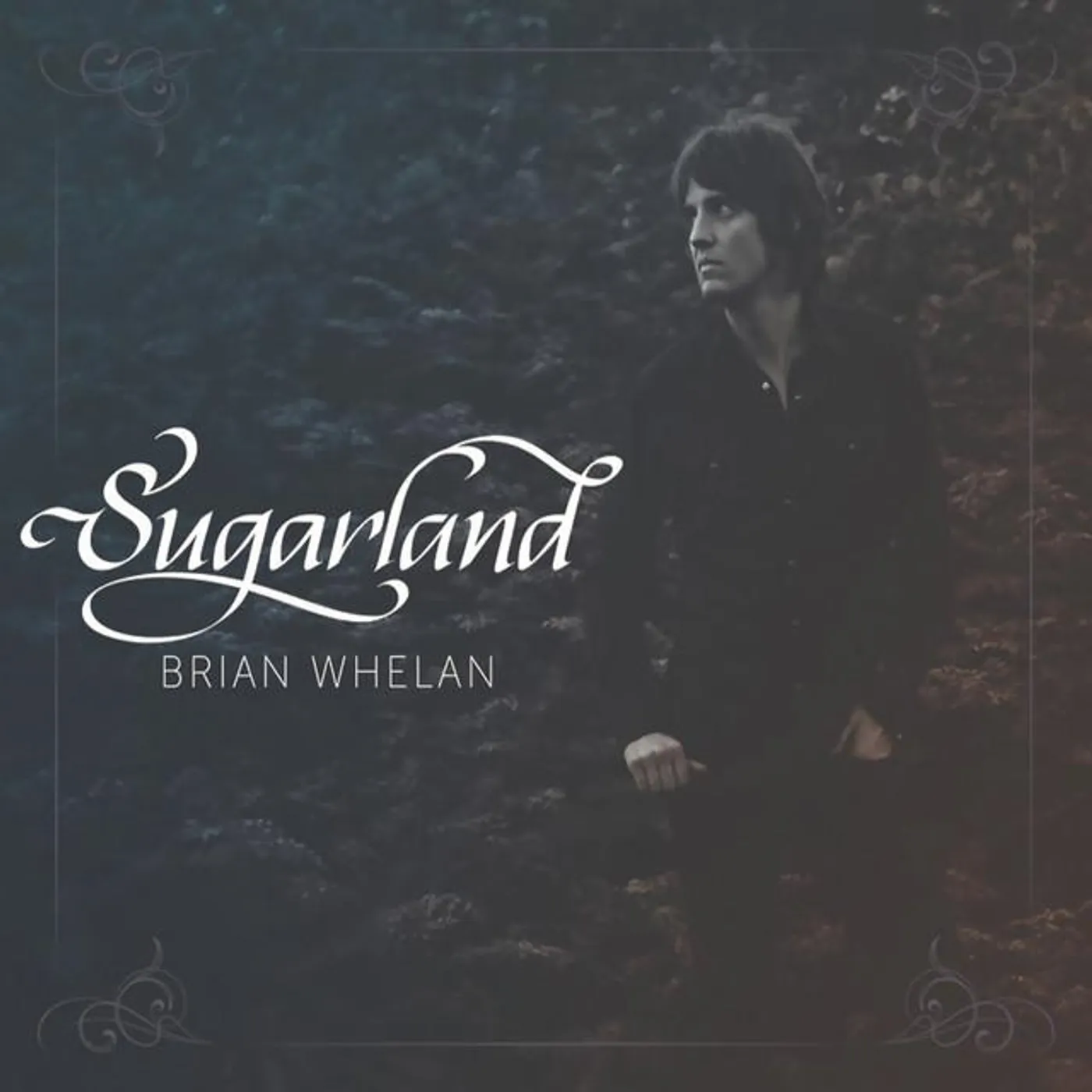 Brian Whelan Brand Page
