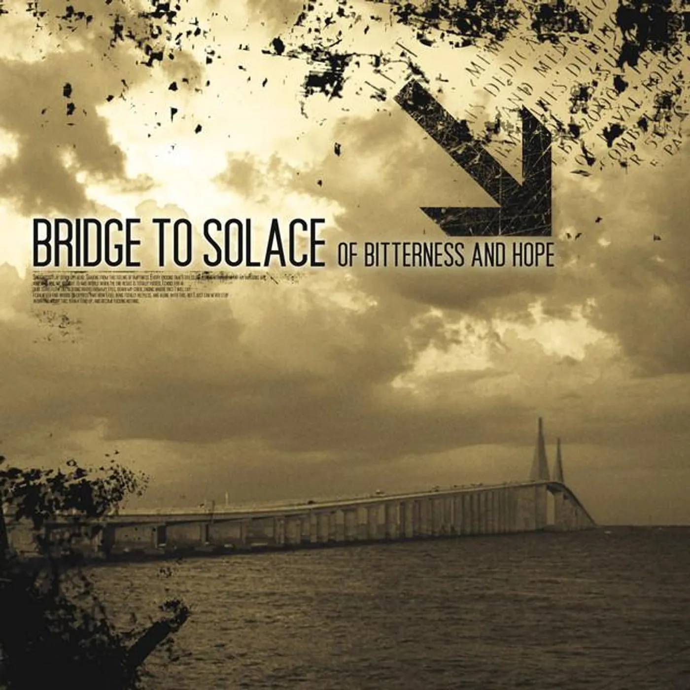 Bridge To Solace Brand Page
