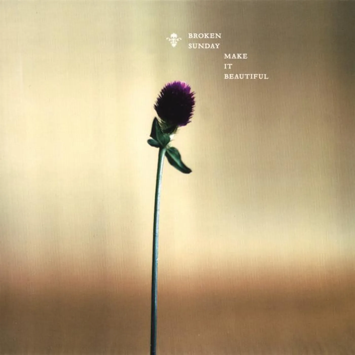 Broken Sunday Brand Page