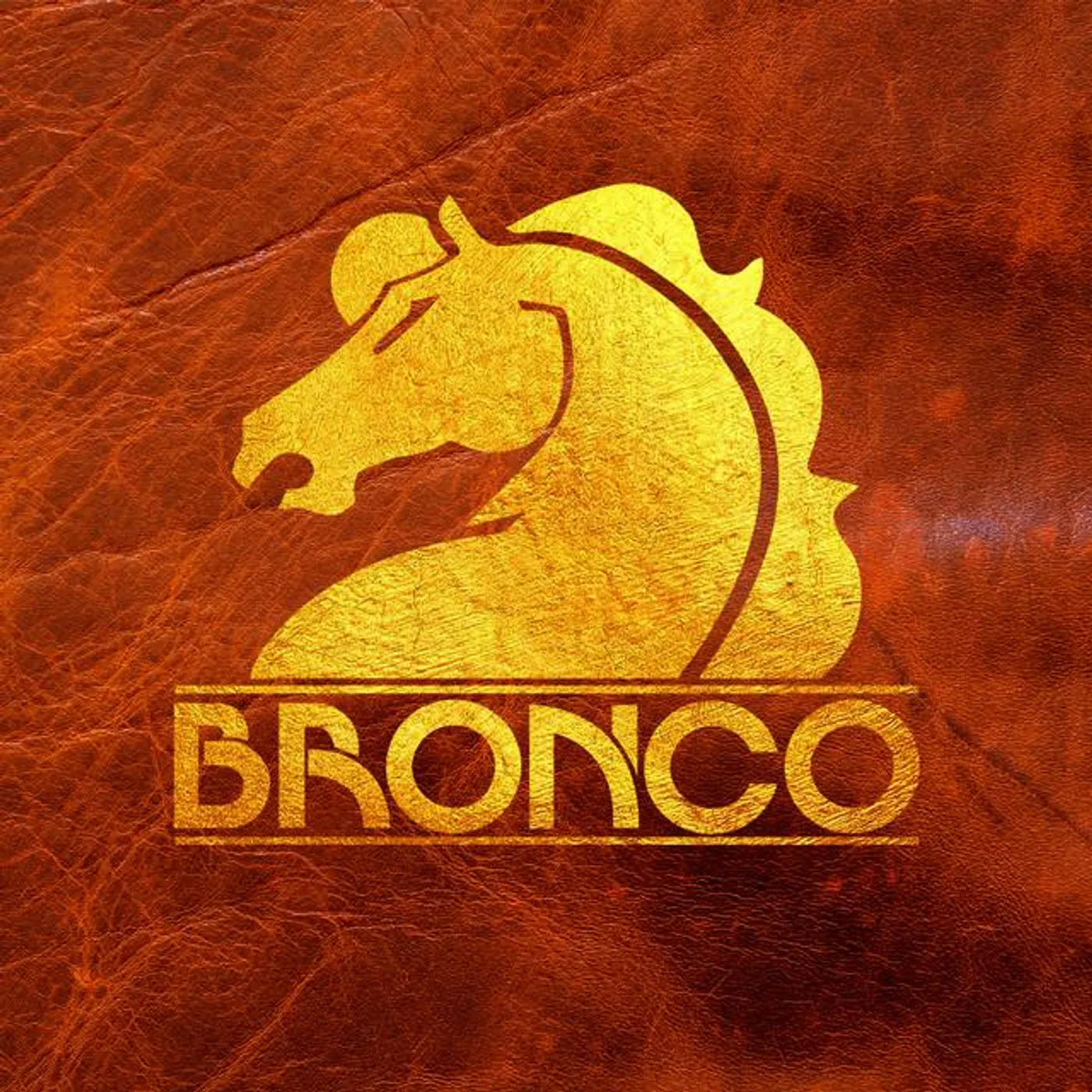 Bronco Brand Page