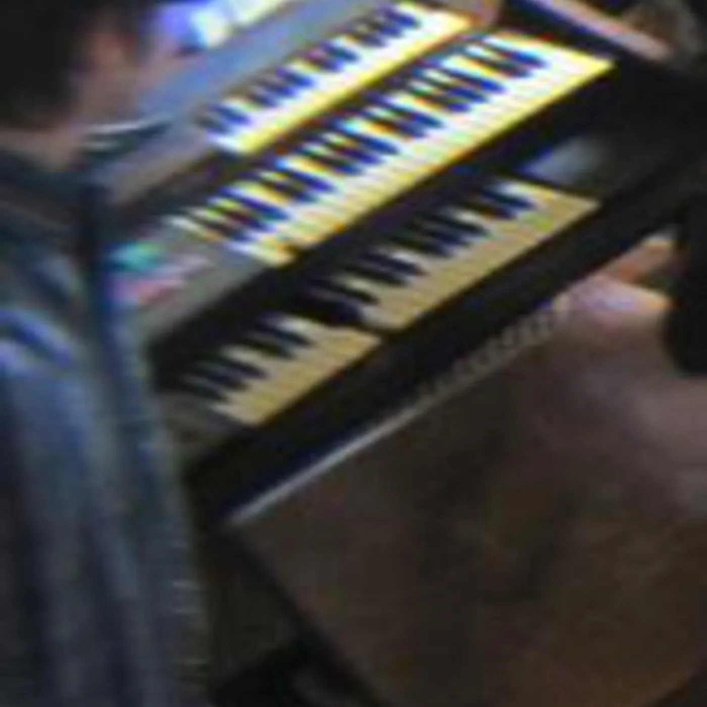 Brown Recluse Brand Page