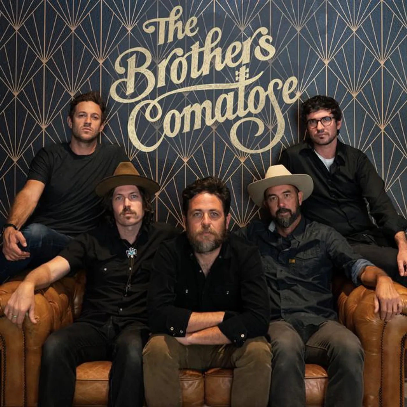 The Brothers Comatose Brand Page