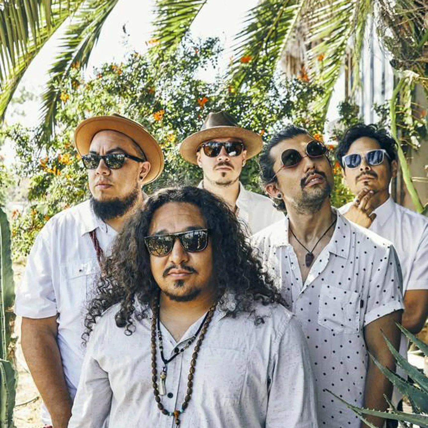 Buyepongo Brand Page