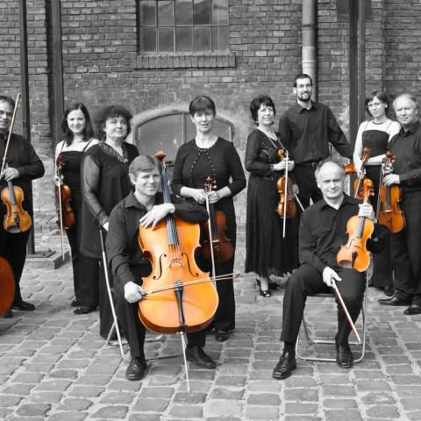 Budapest Strings Brand Page