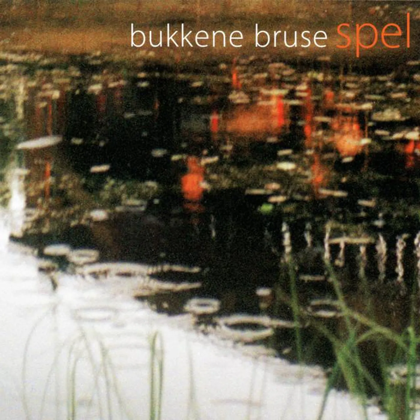 Bukkene Bruse