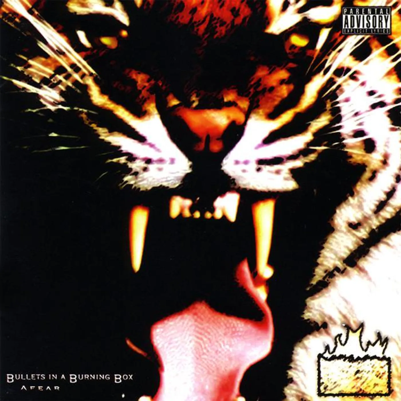 Bullets In A Burning Box