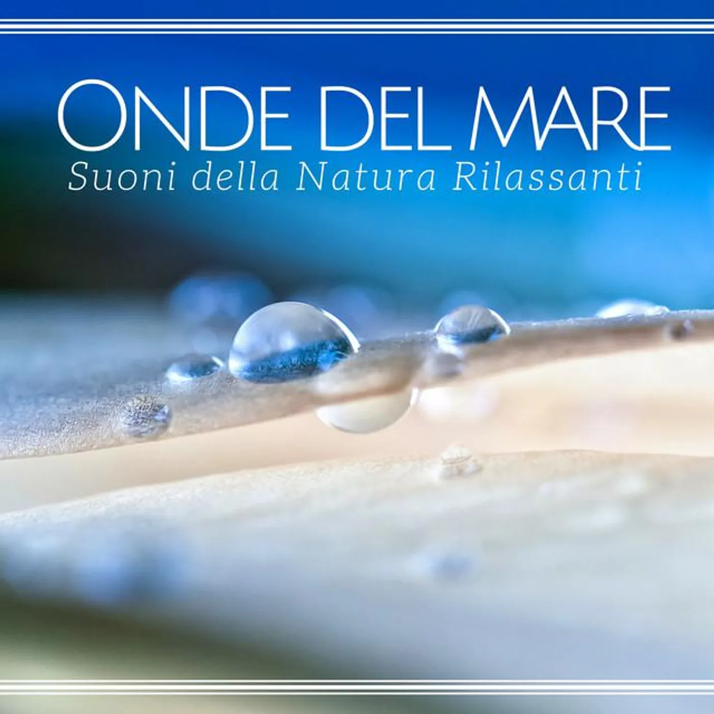 Buona Notte Brand Page