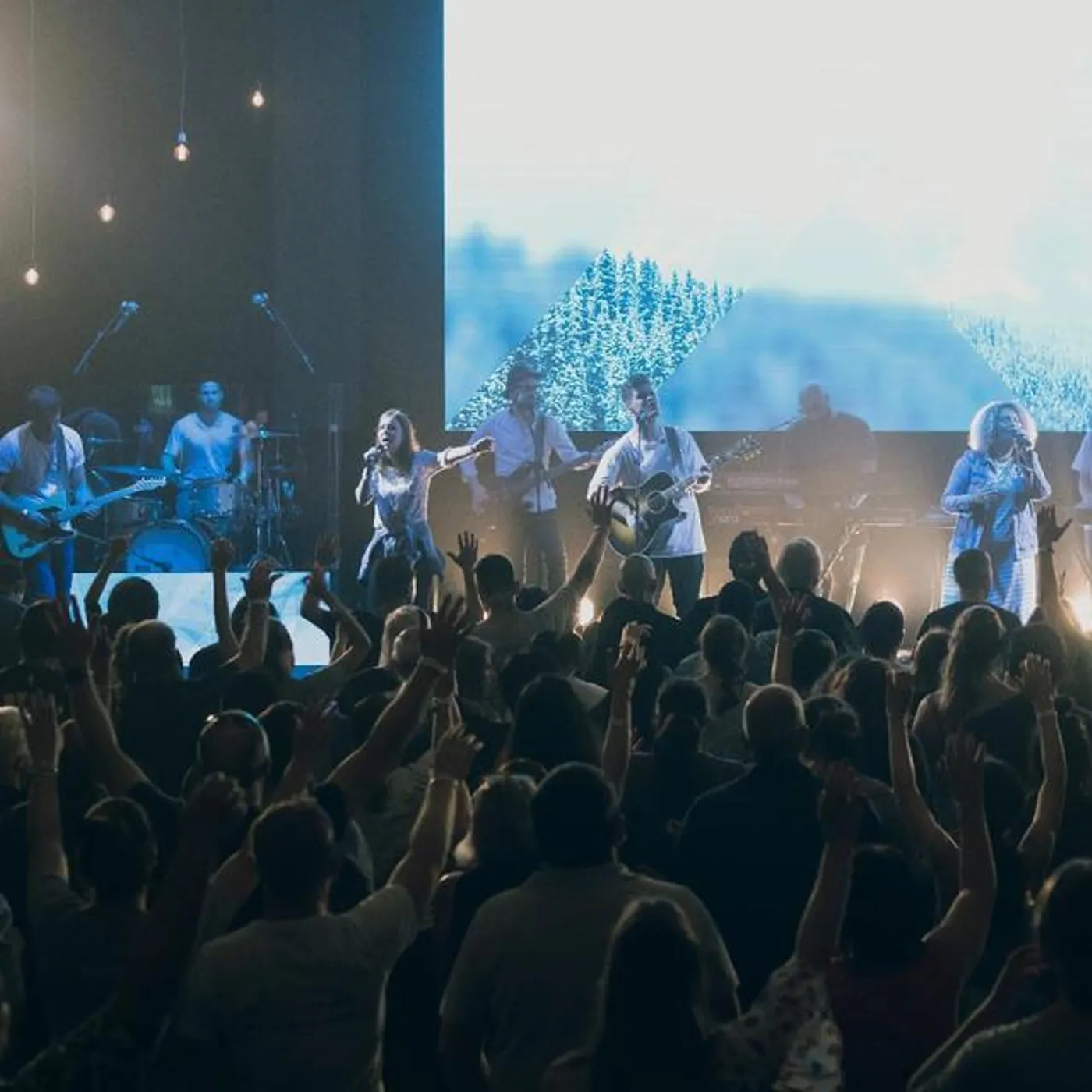 C3 Auckland