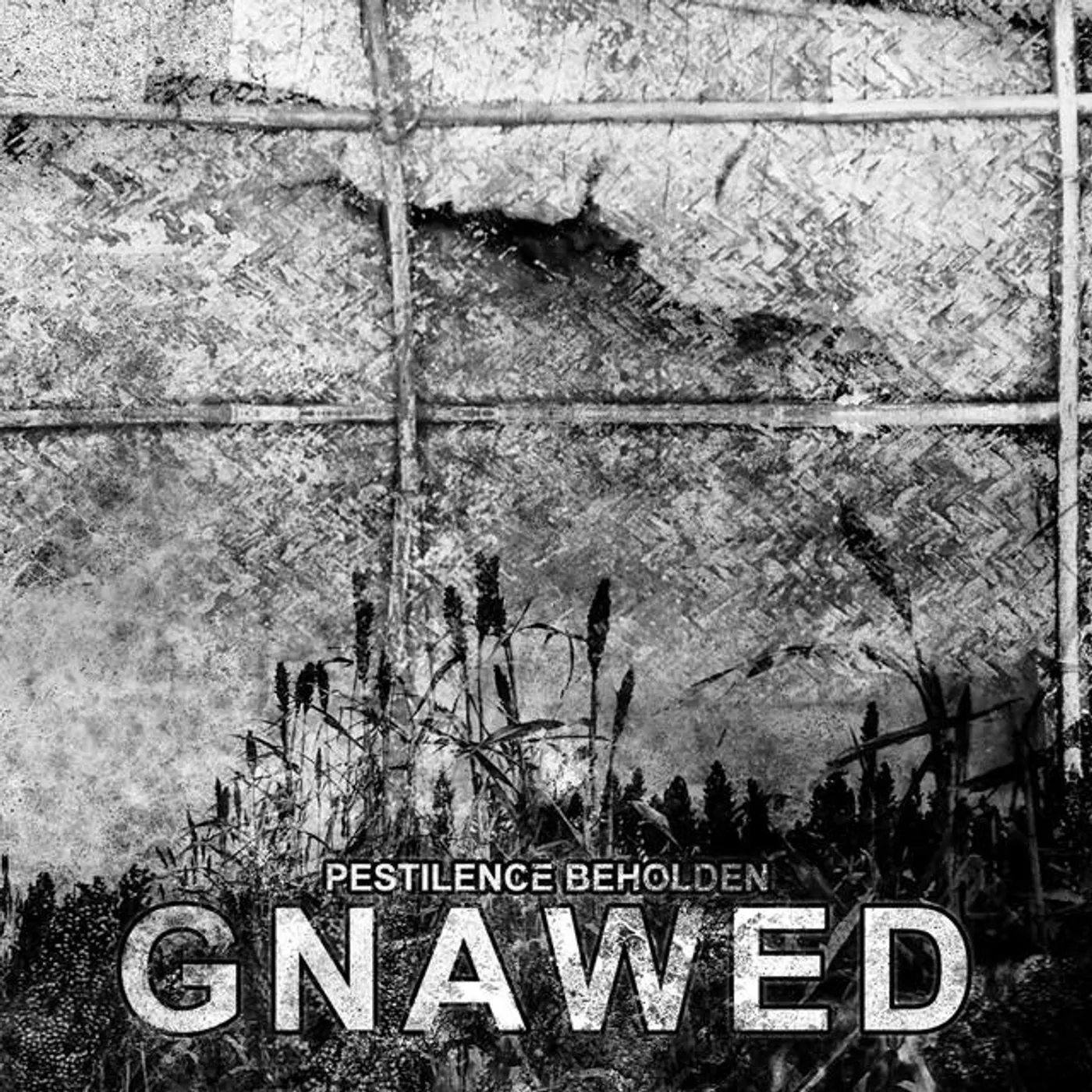 Gnawed Brand Page
