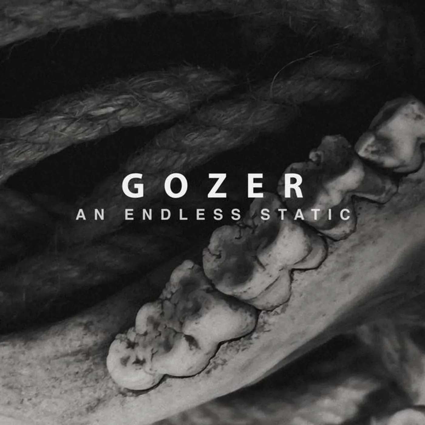Gozer Brand Page