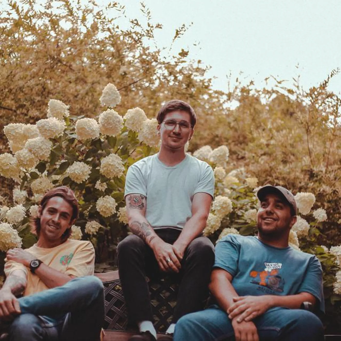 Gold Finch Brand Page