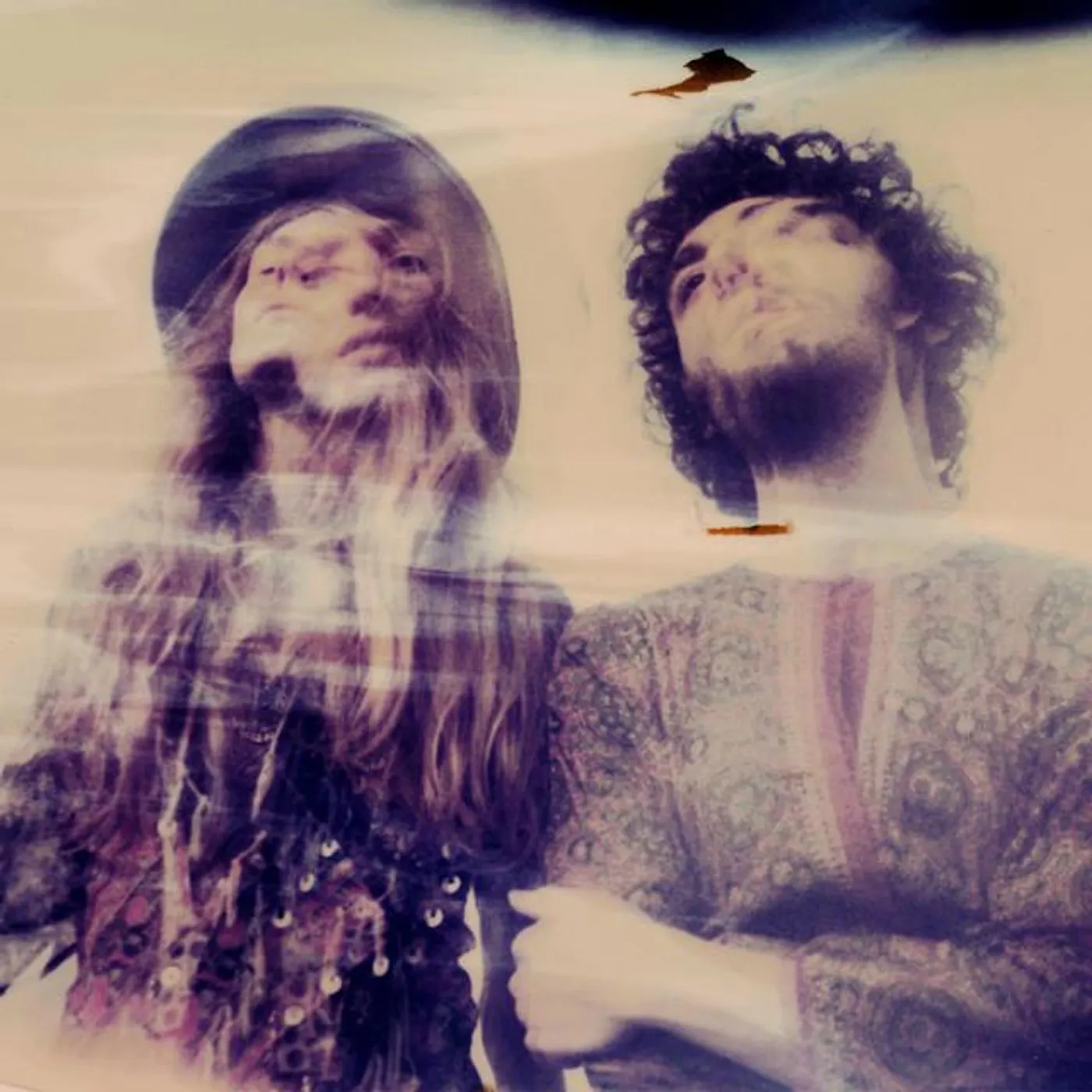 Golden Animals Brand Page