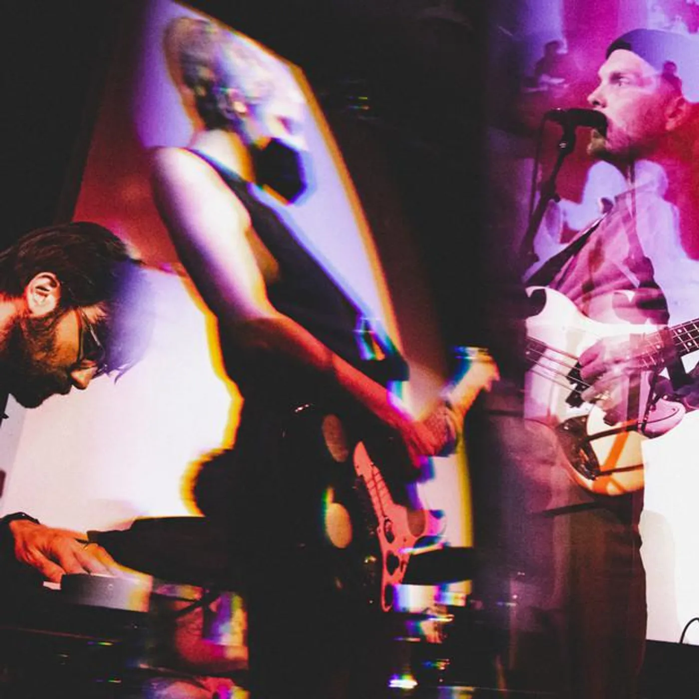 Golden Apples Brand Page