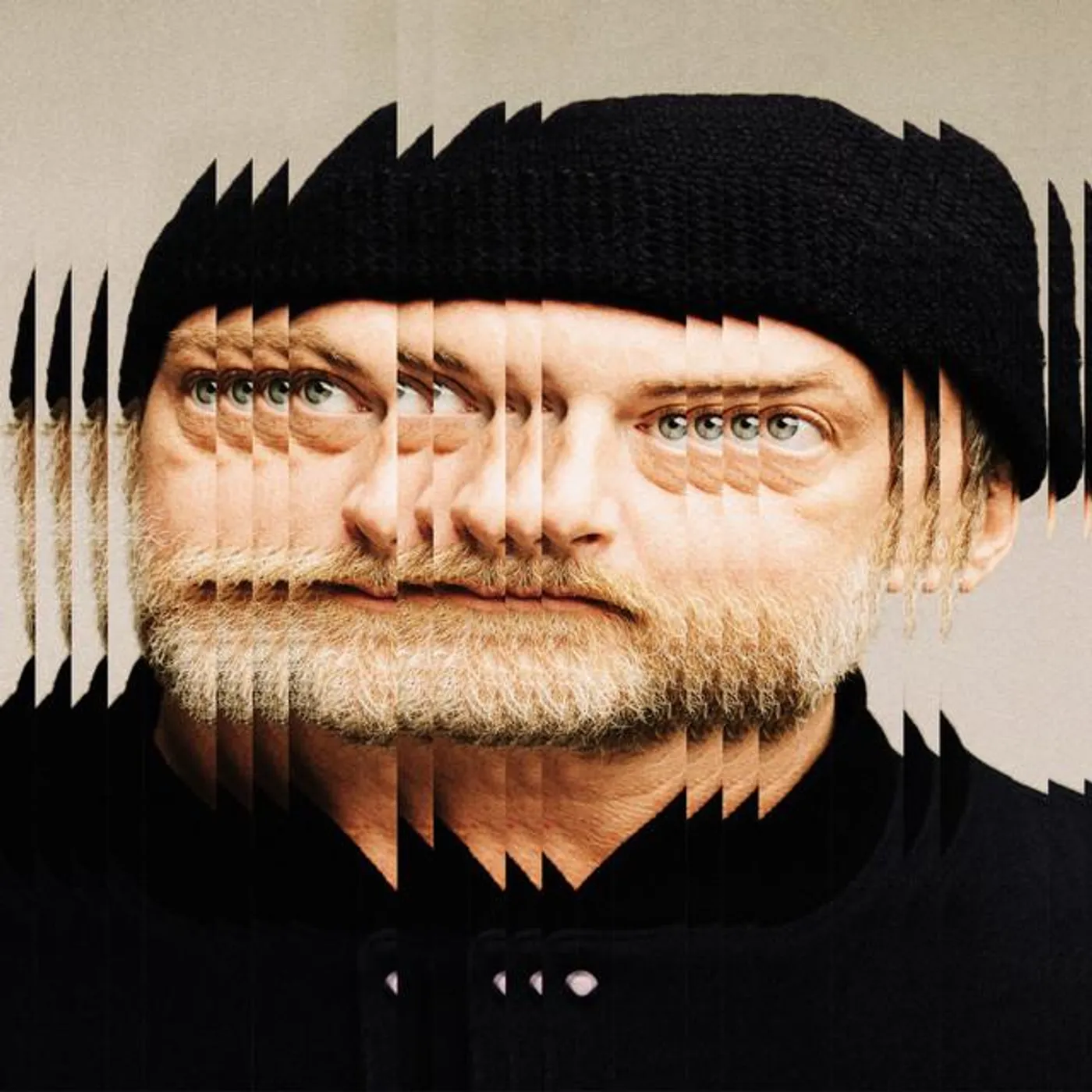 Golden Bug Brand Page