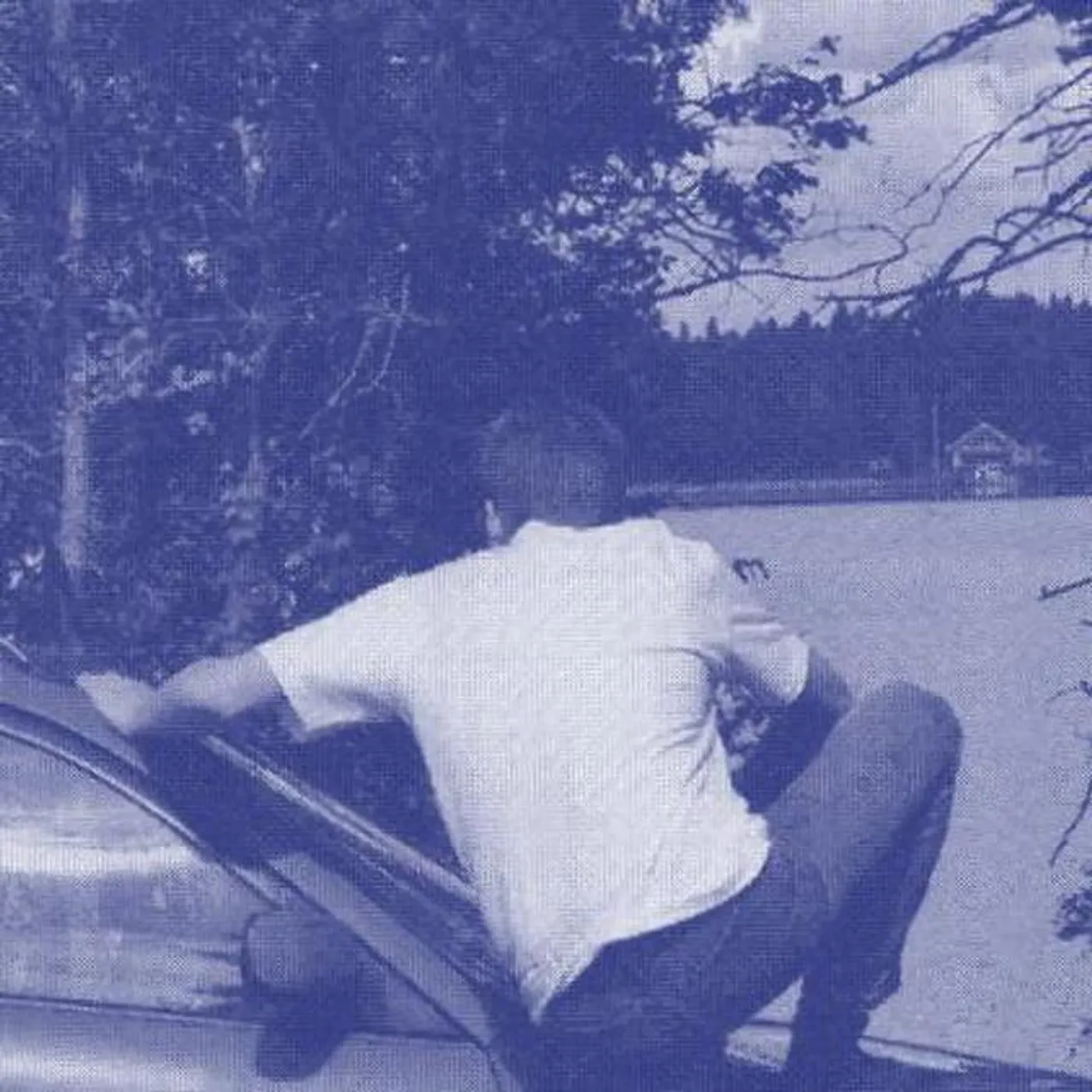 Golden Ivy Brand Page