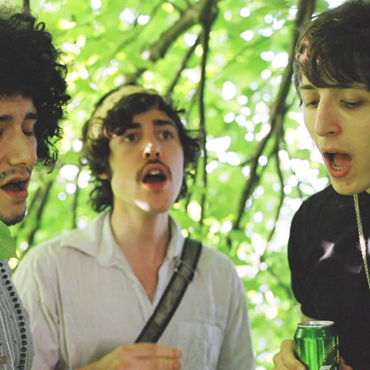 Golden Silvers Brand Page