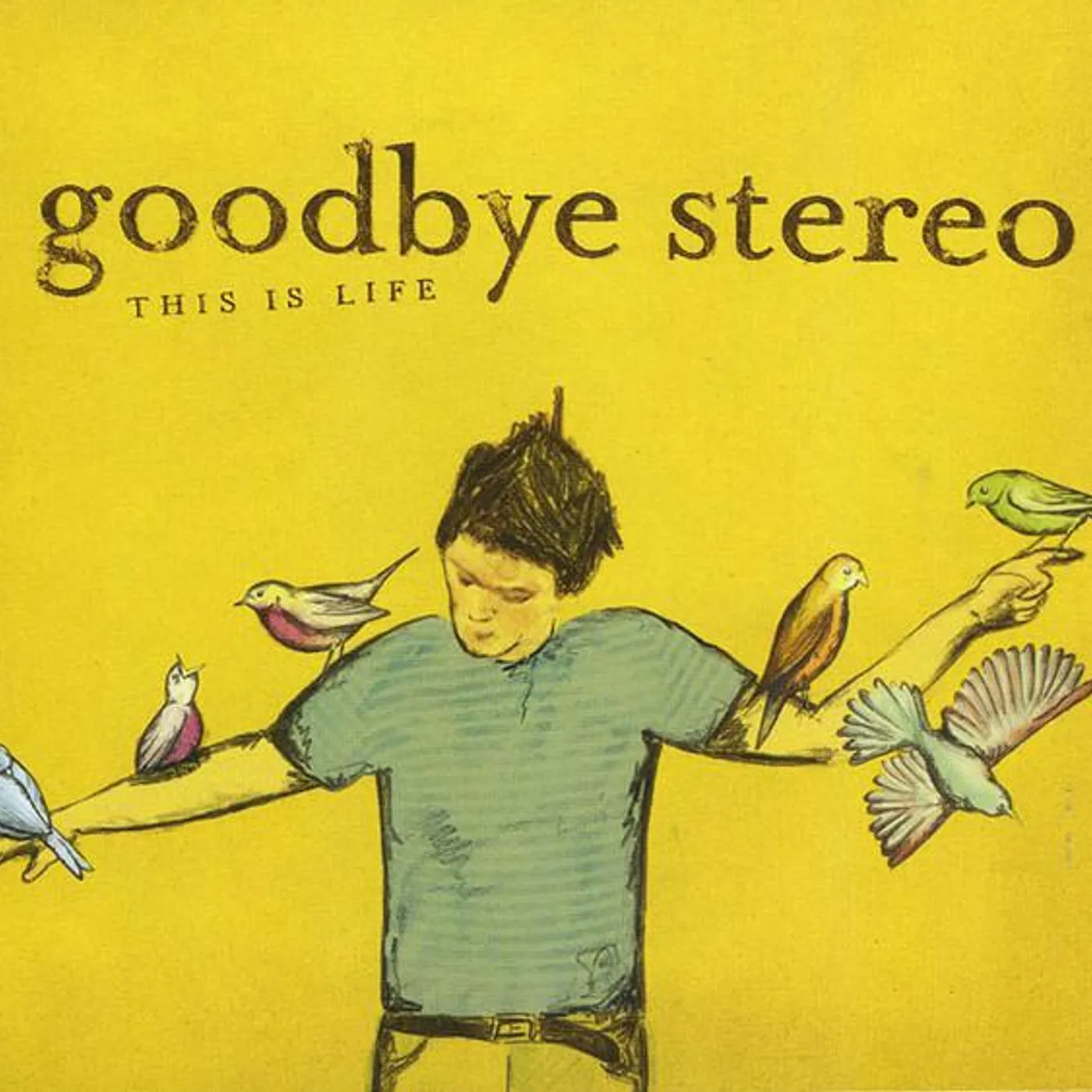 Goodbye Stereo