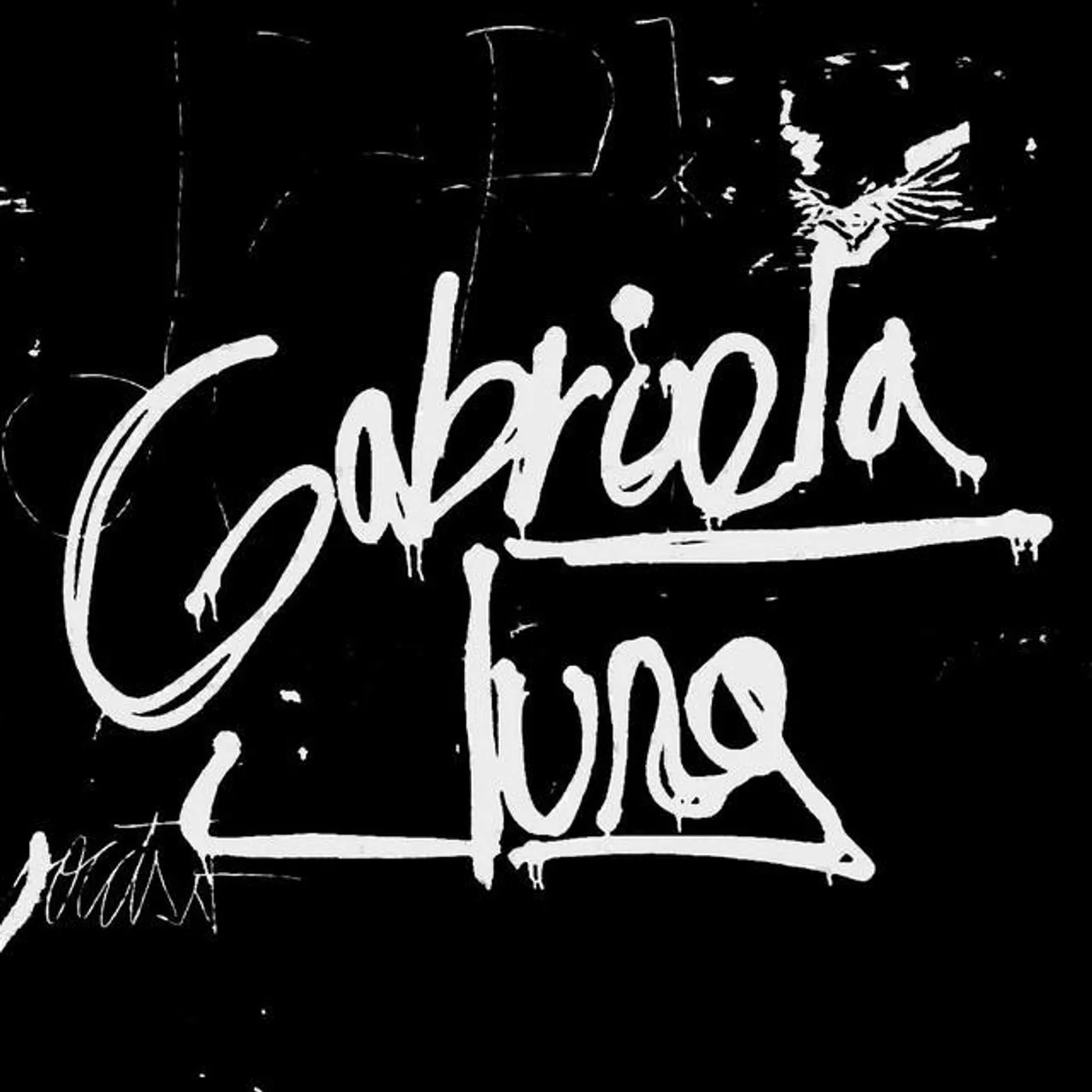 Gabriela Jung Brand Page