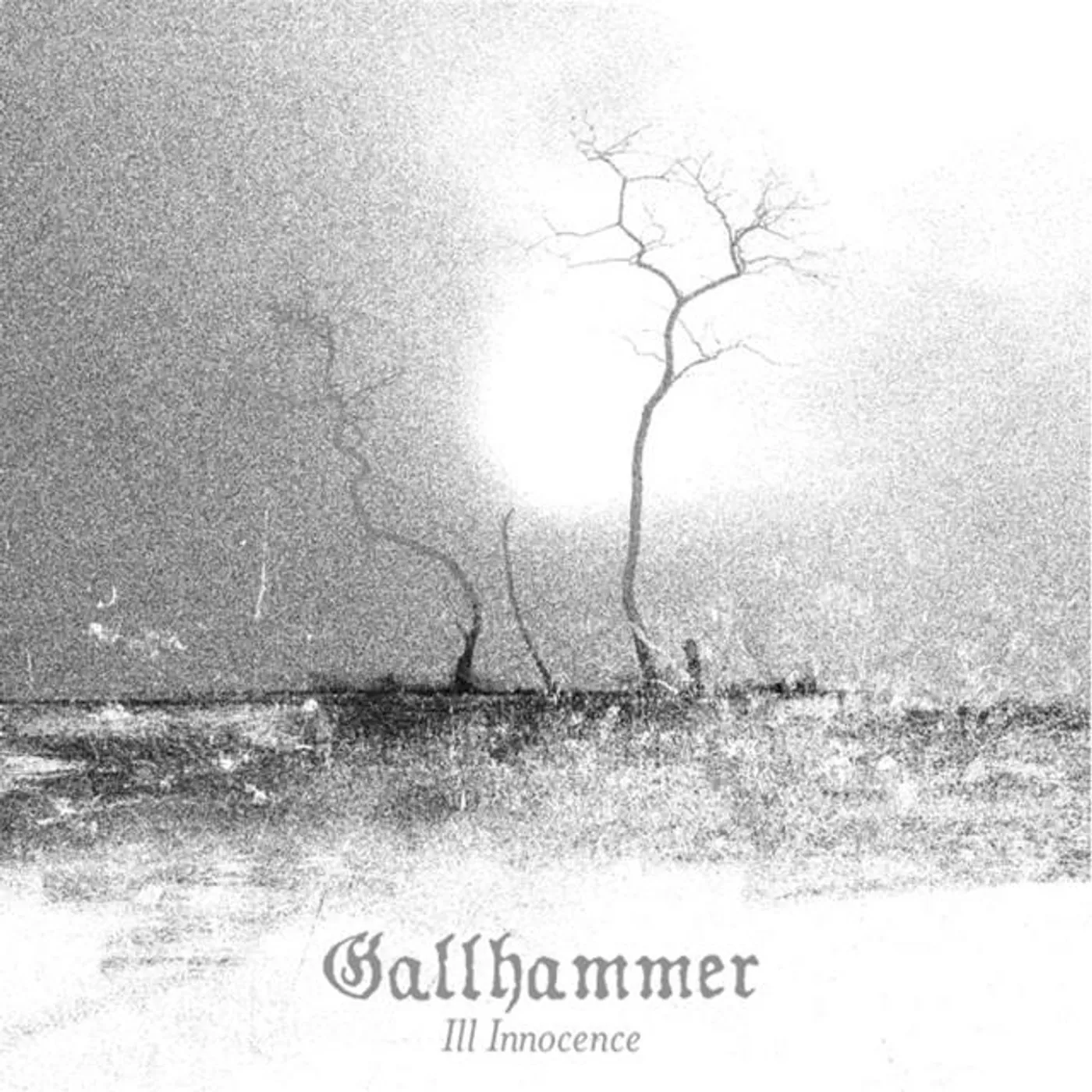 Gallhammer Brand Page