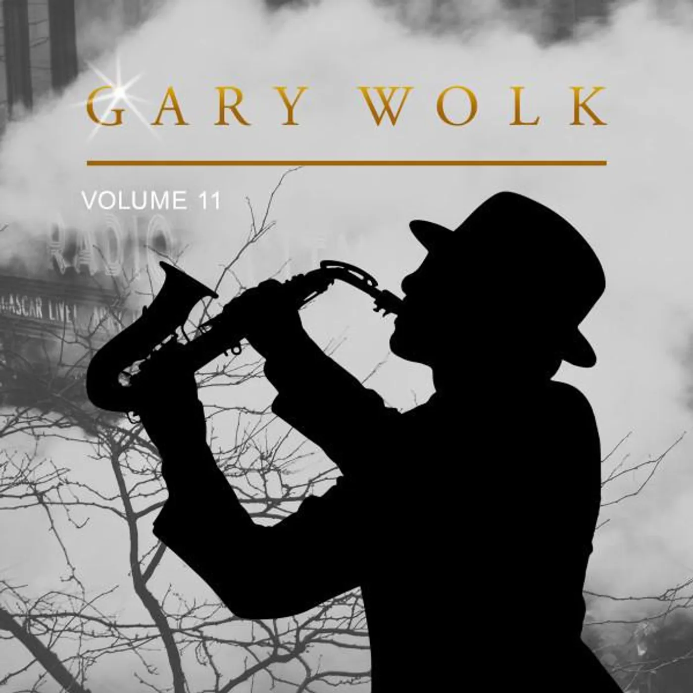 Gary Wolk Brand Page