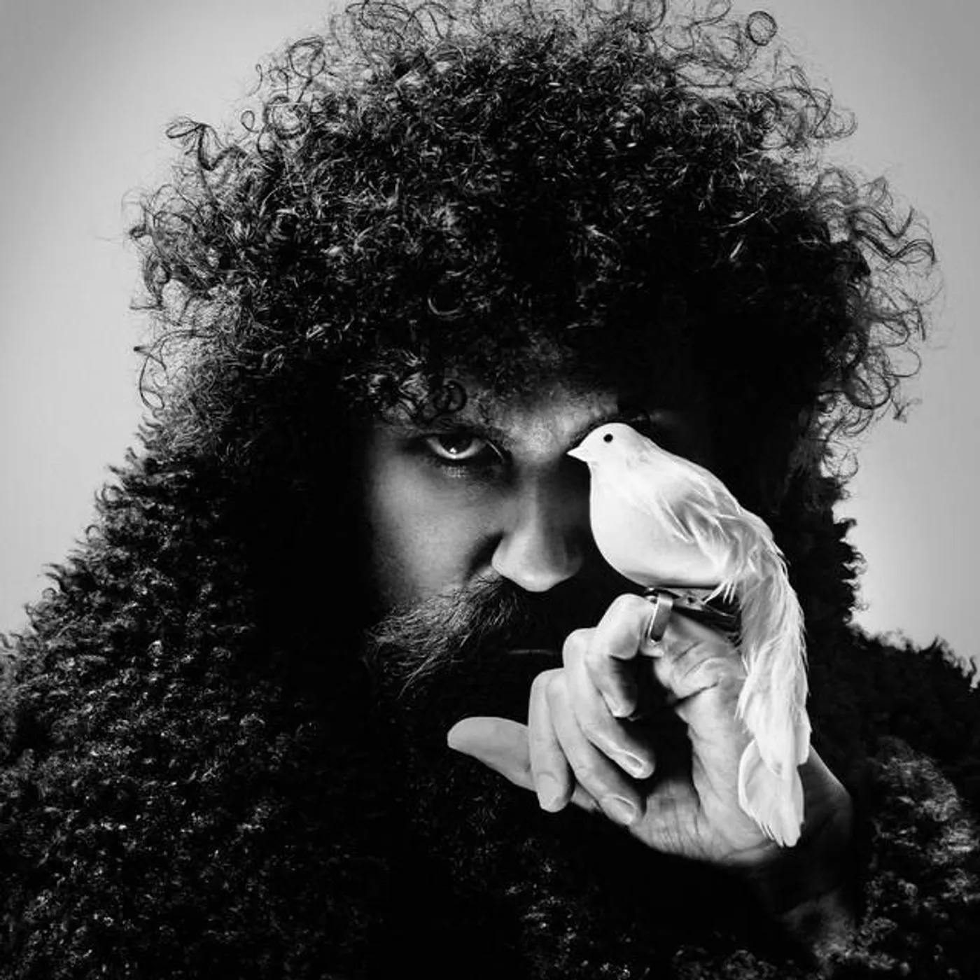 The Gaslamp Killer Brand Page