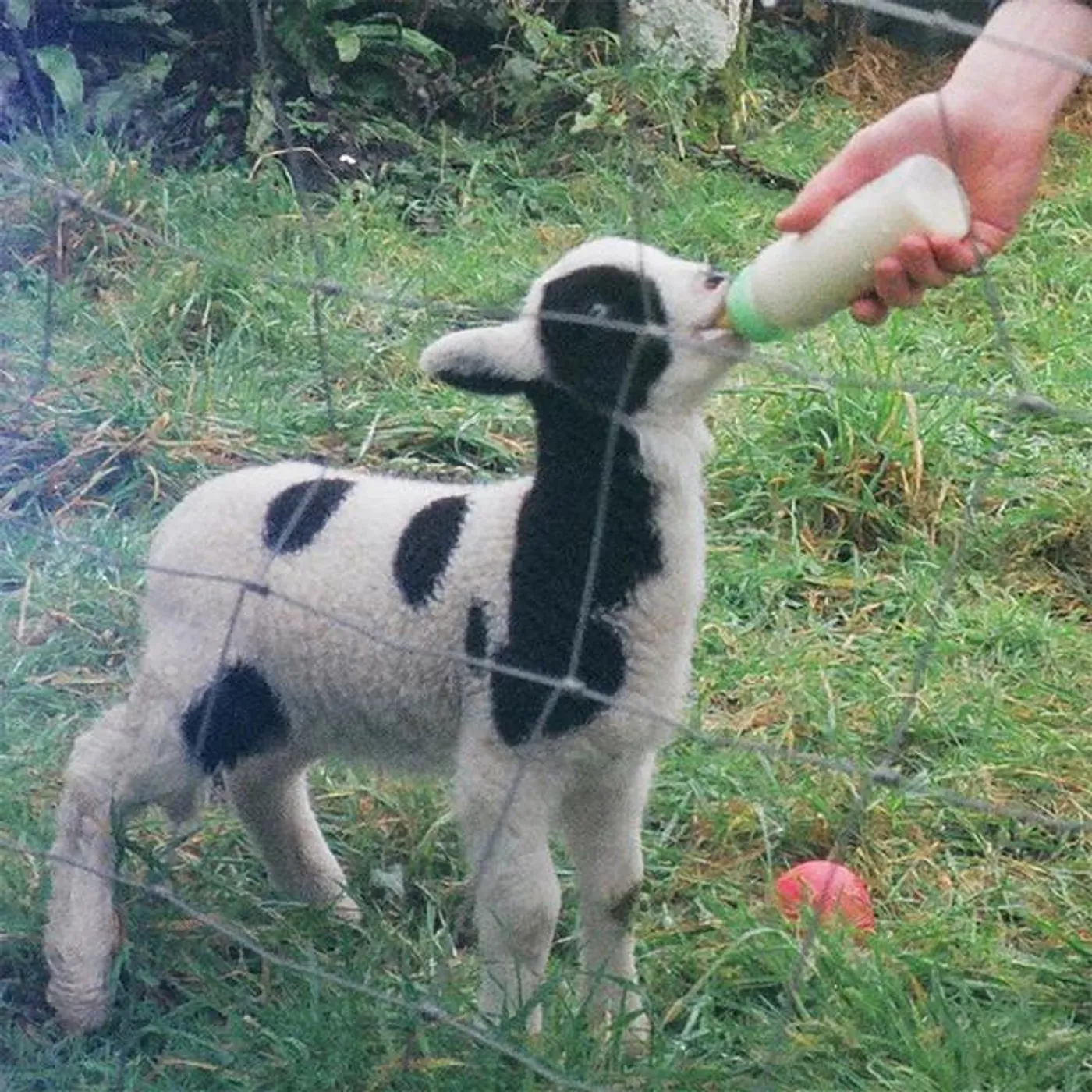 John T. Gast Brand Page