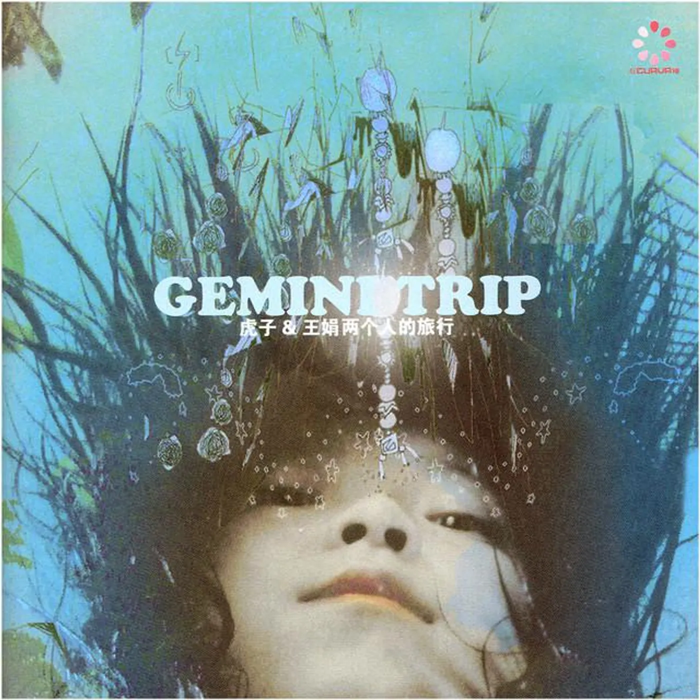 Gemini Trip