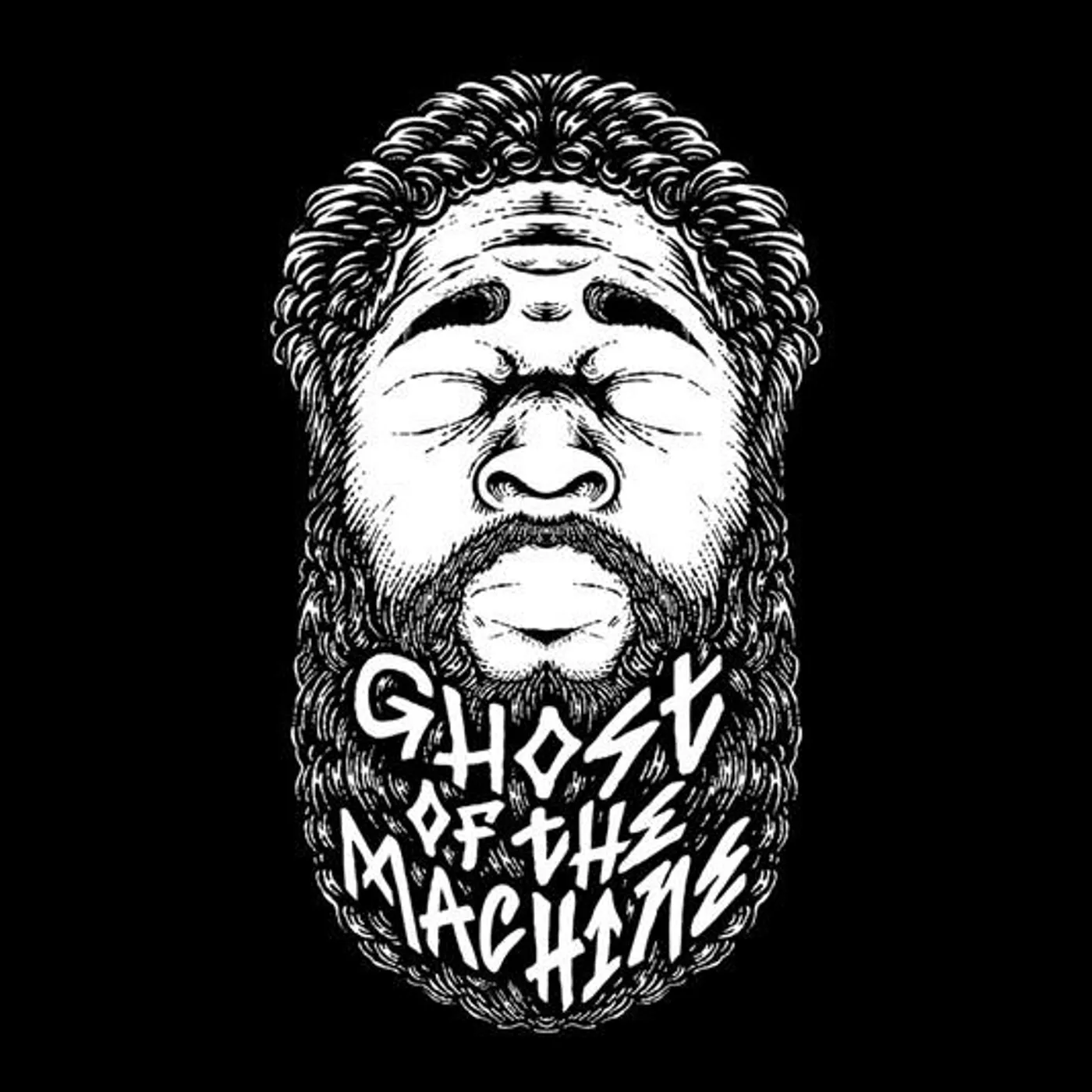 Ghost Of The Machine