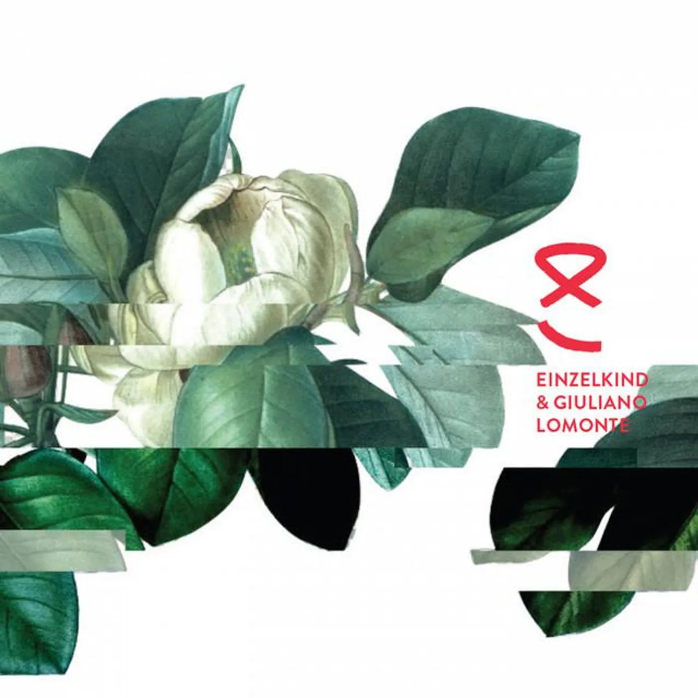 Giuliano Lomonte Brand Page