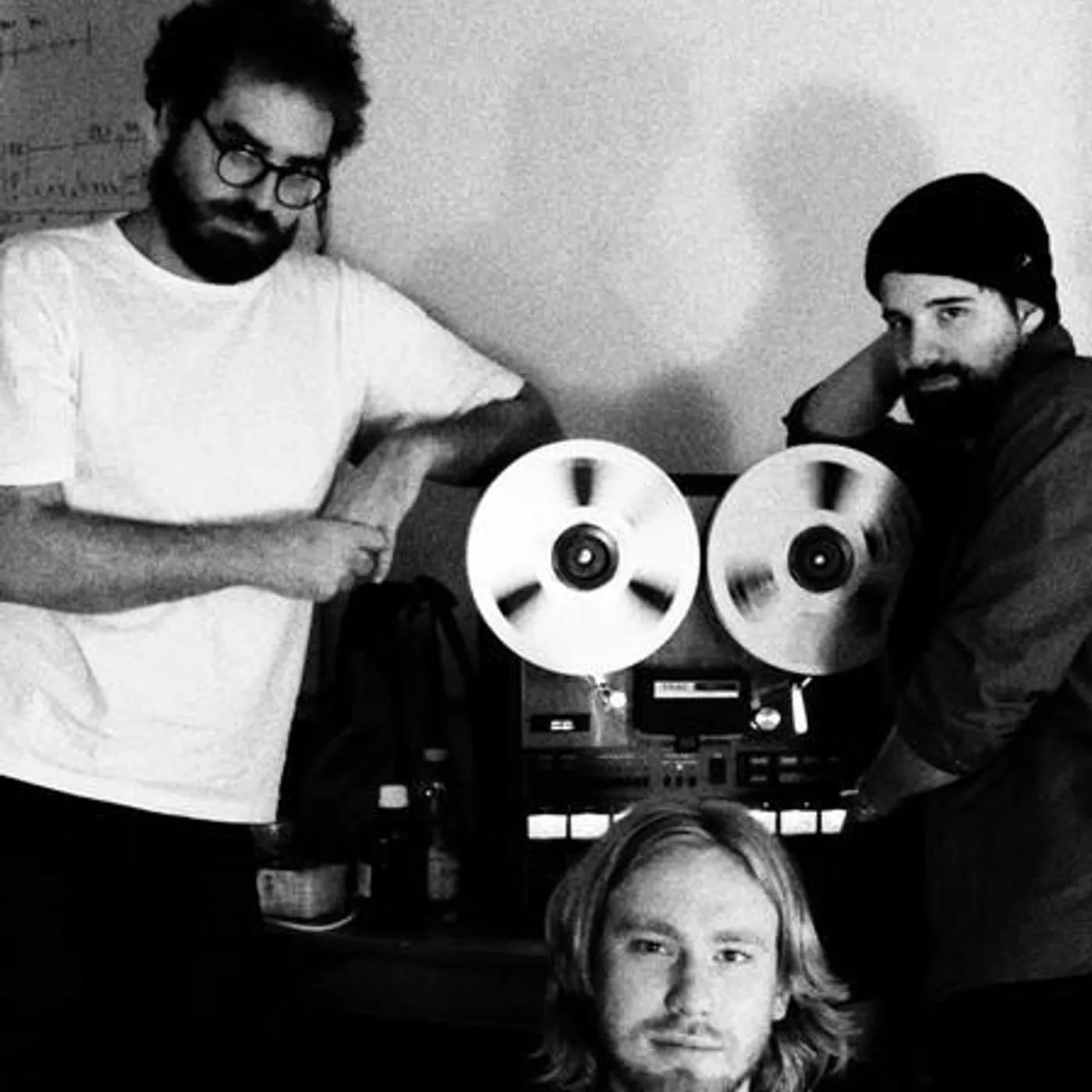 Giant Moa Brand Page