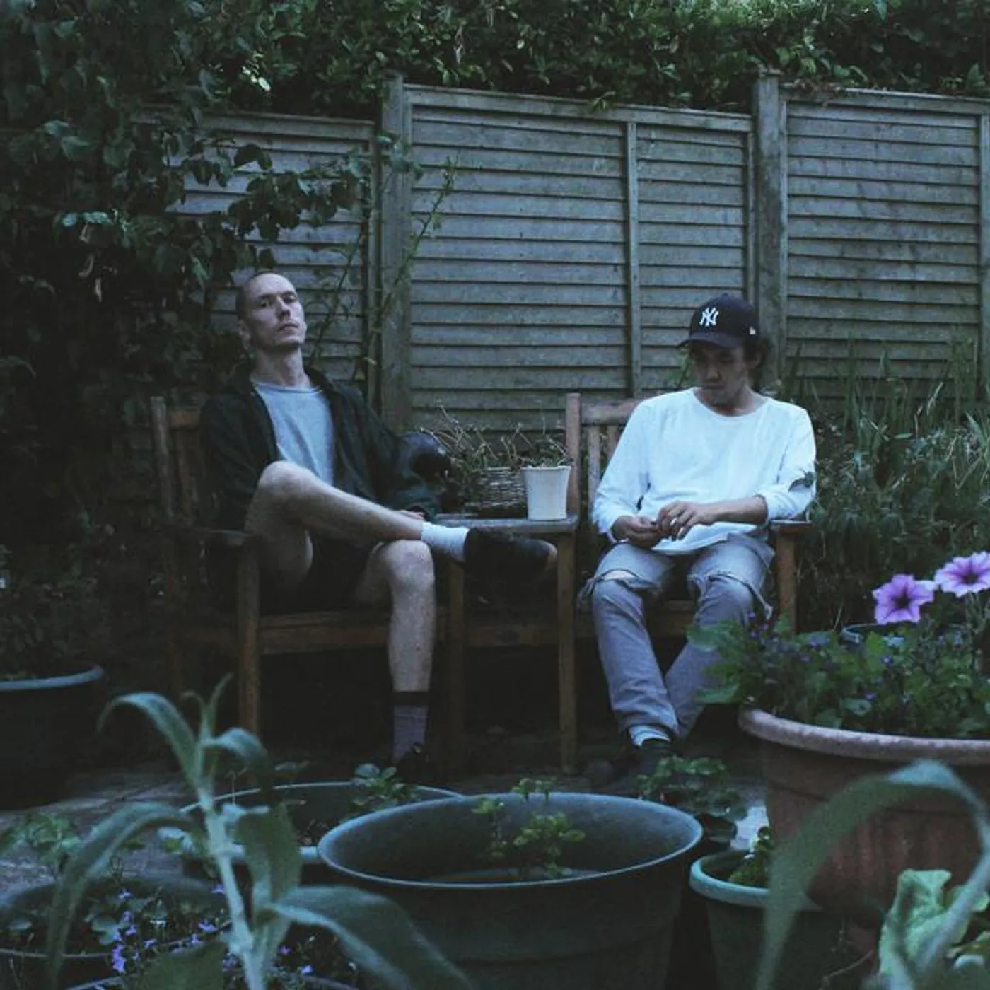 Giant Swan Brand Page