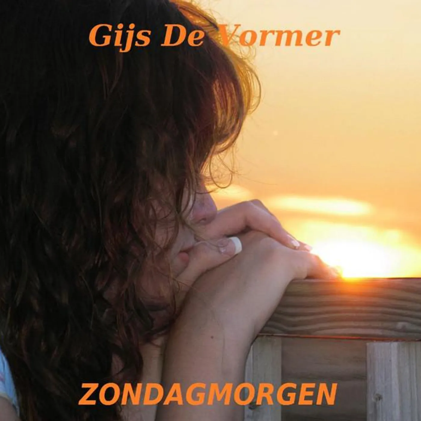 Gijs de Vormer Brand Page