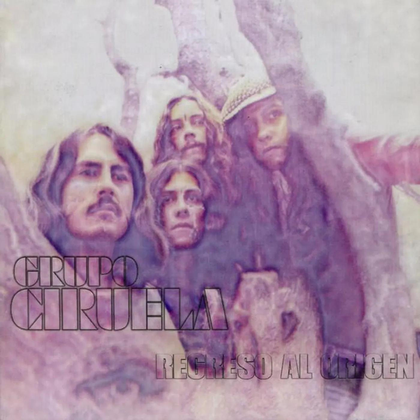 Grupo Ciruela Brand Page