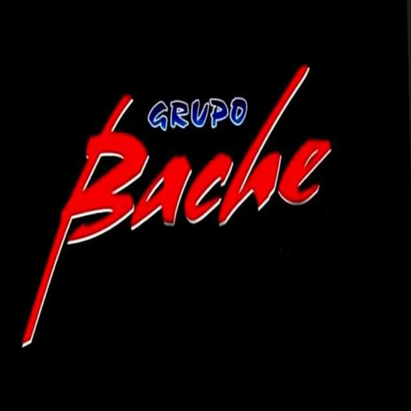 Grupo Bache Brand Page