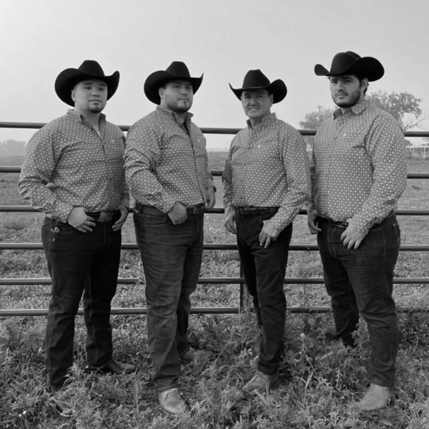 Grupo Linaje Brand Page