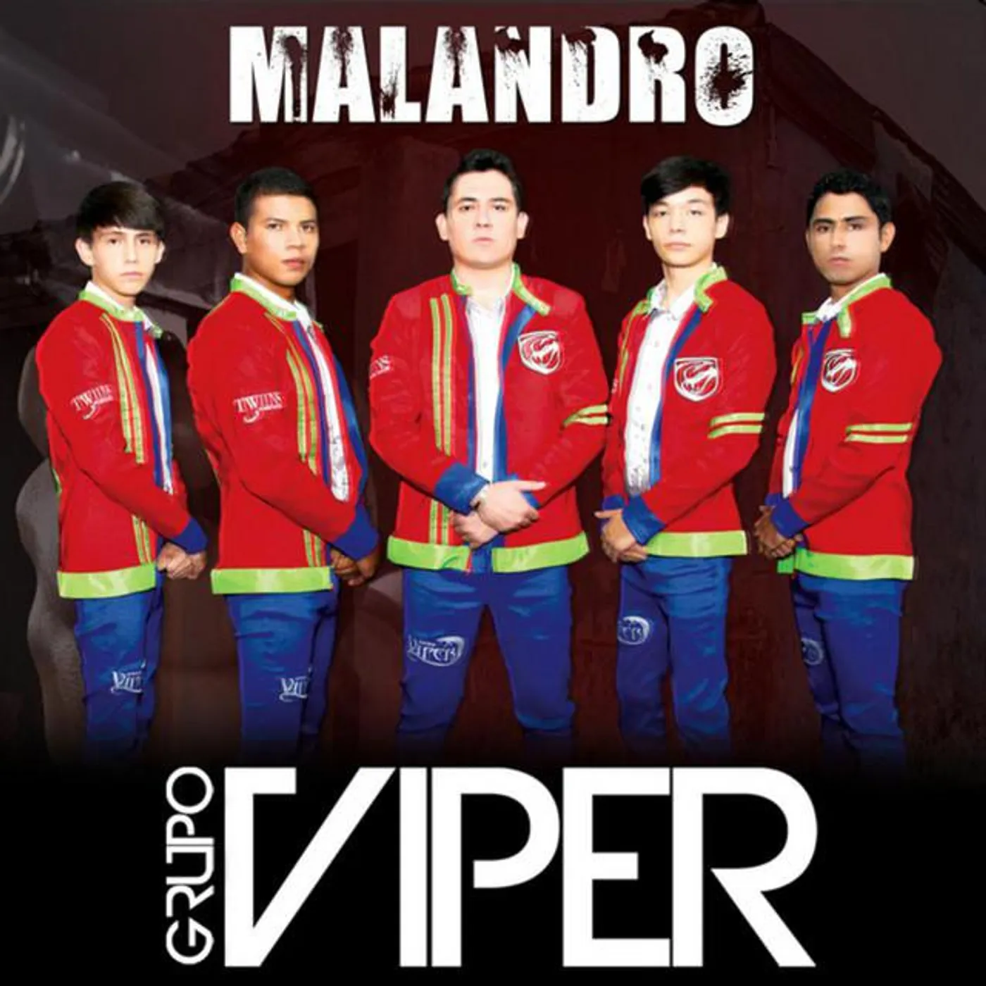 Grupo Viper
