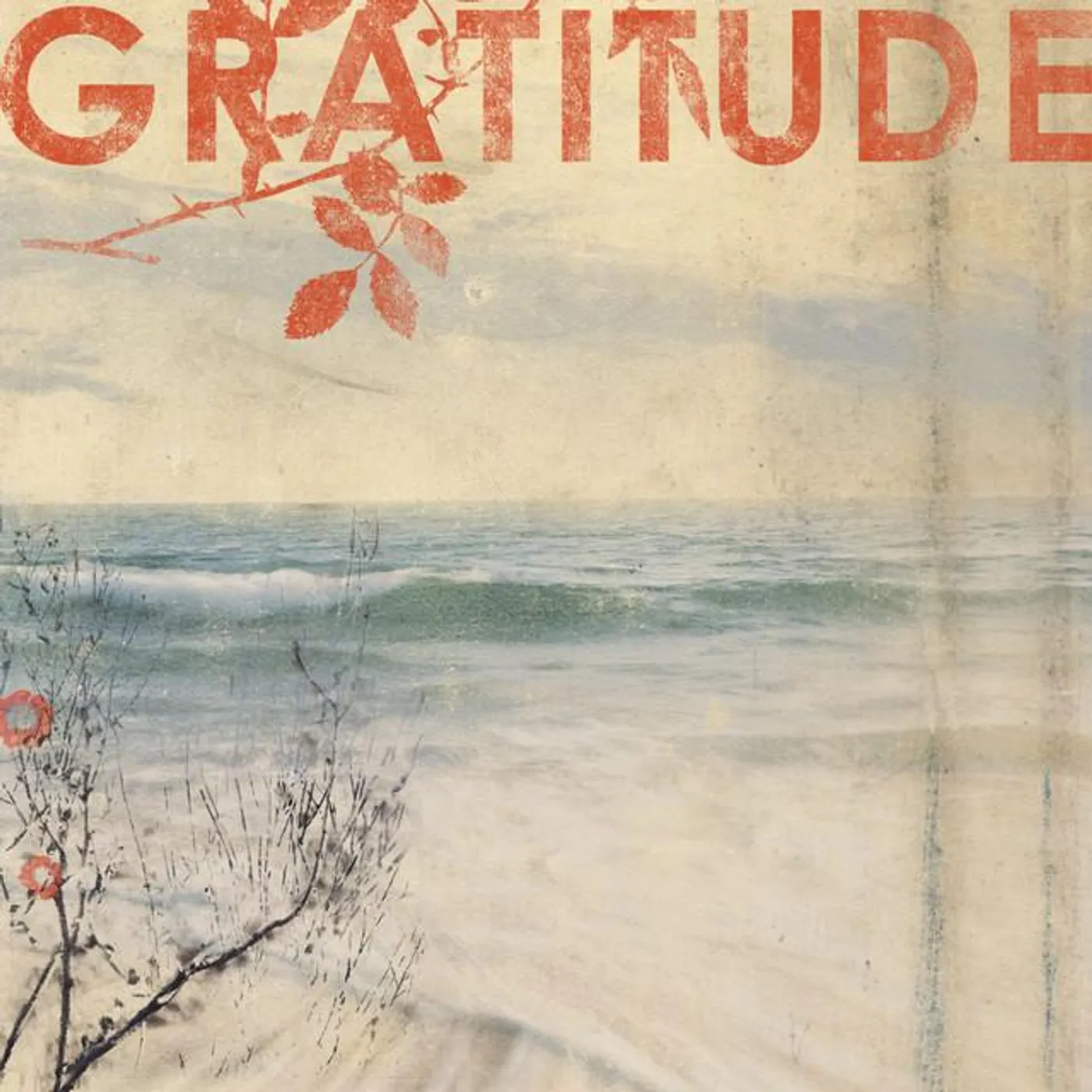 Gratitude Brand Page