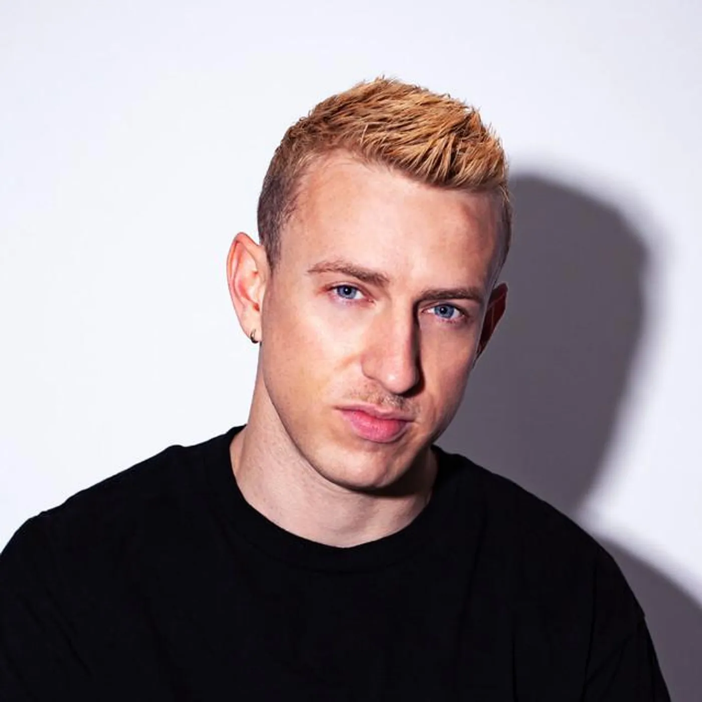 Great Dane Brand Page