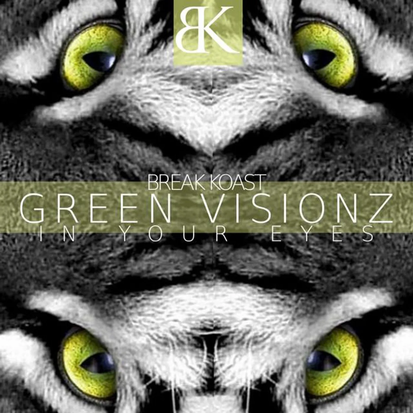 Green Visionz