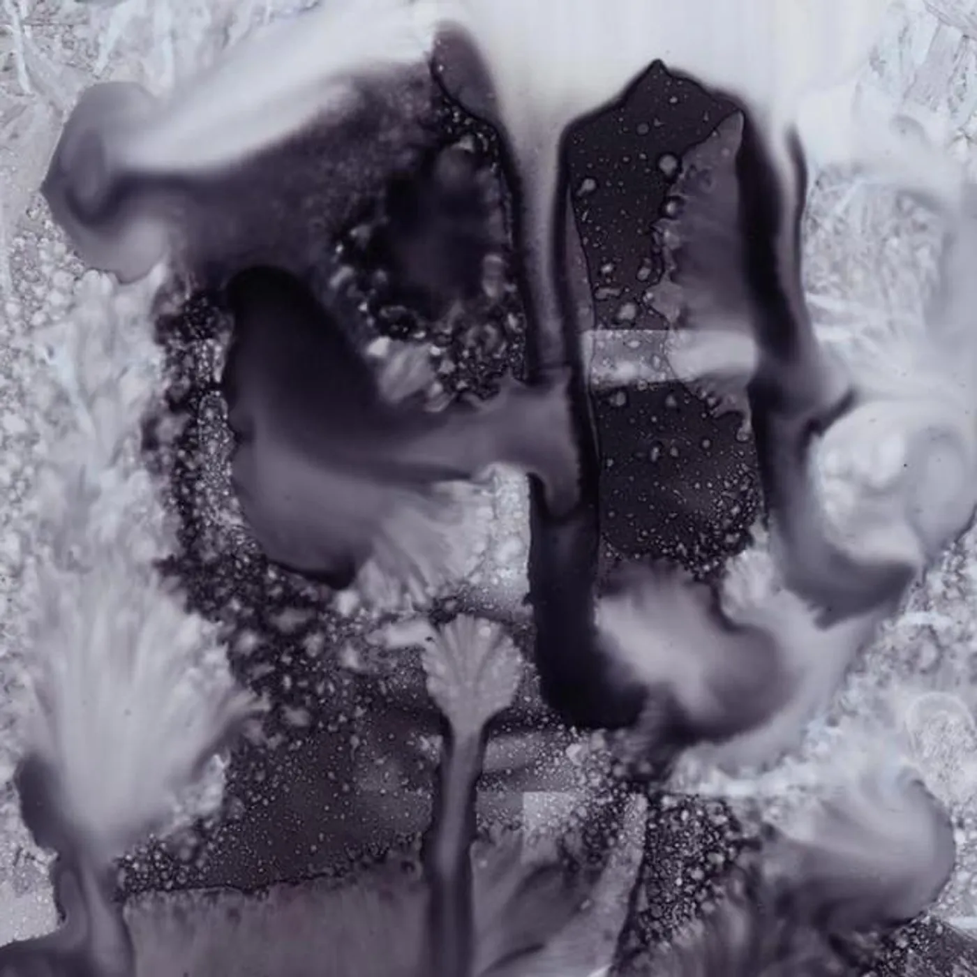 Grey Tapes Brand Page