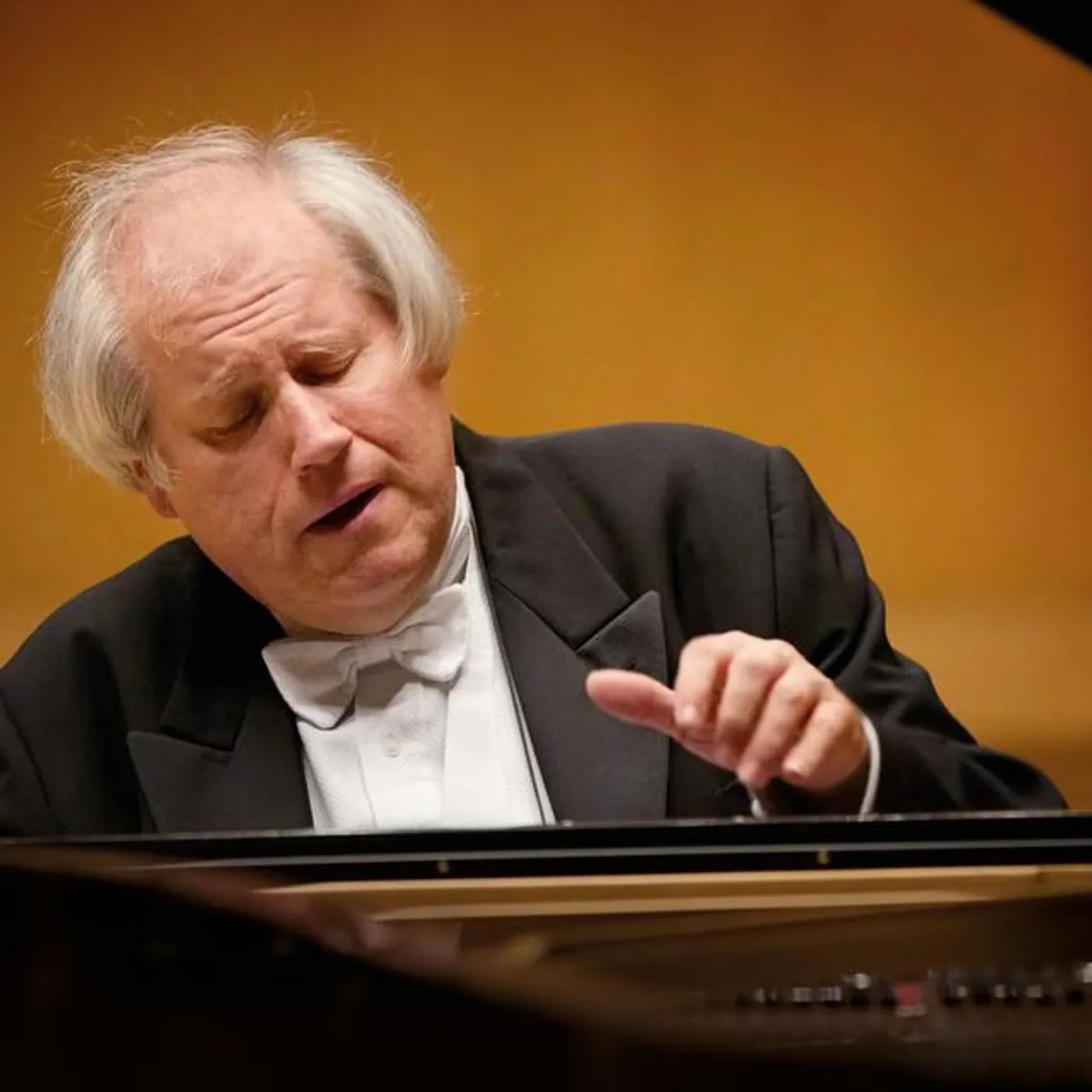 Grigory Sokolov Brand Page