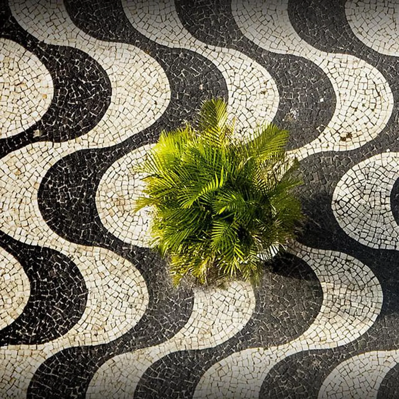 Groove Da Praia Brand Page