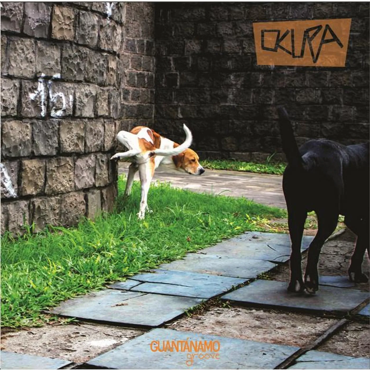 Guantánamo Groove
